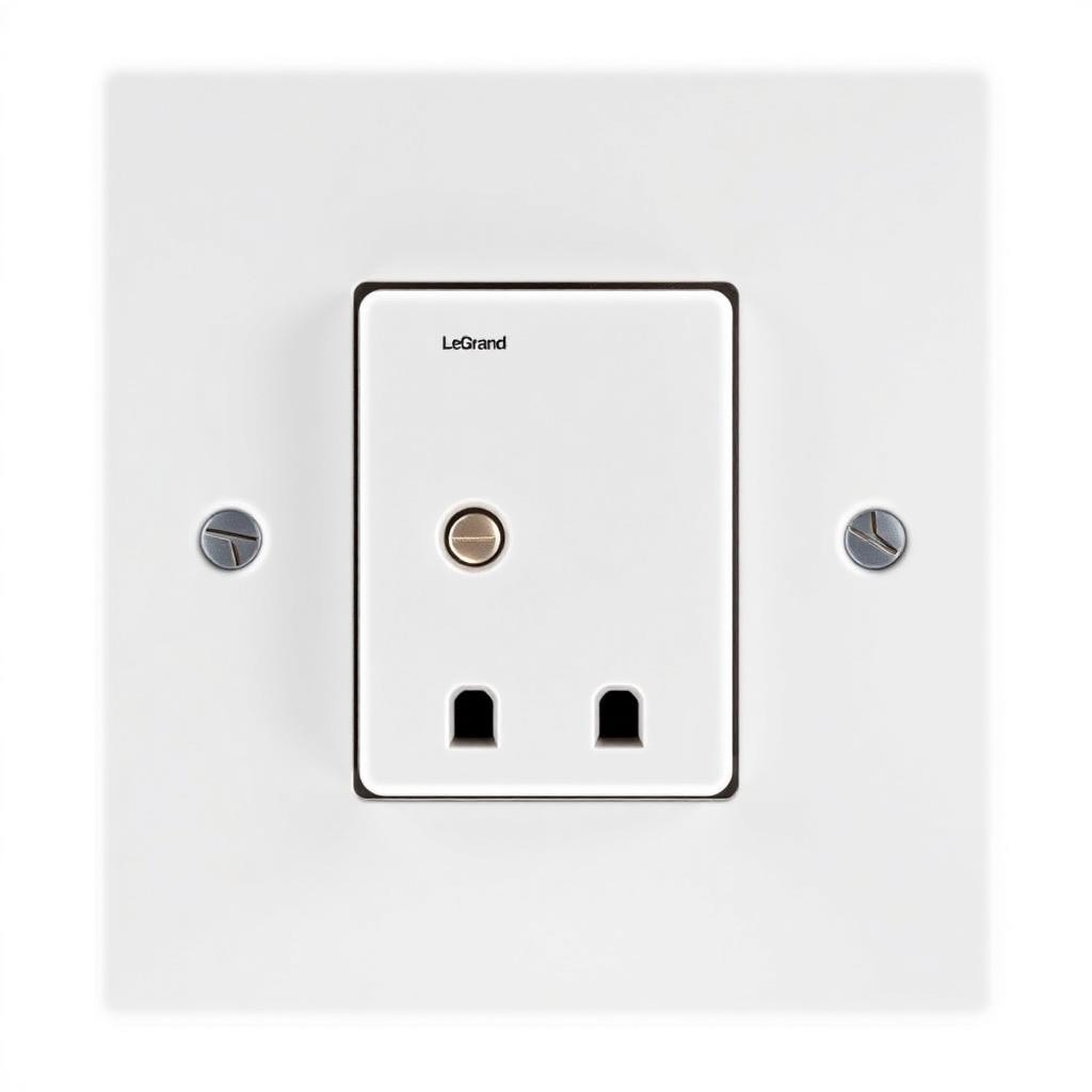 Legrand Britzy 13A Double Socket